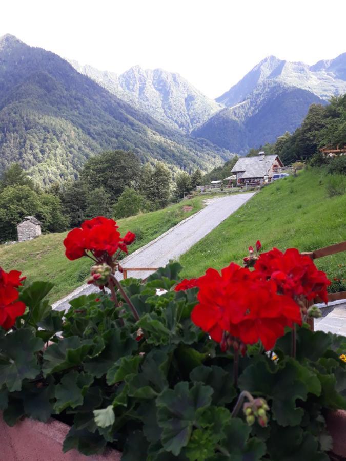 Casa All'Alpe Gaggetto B & B Anzino Exterior photo