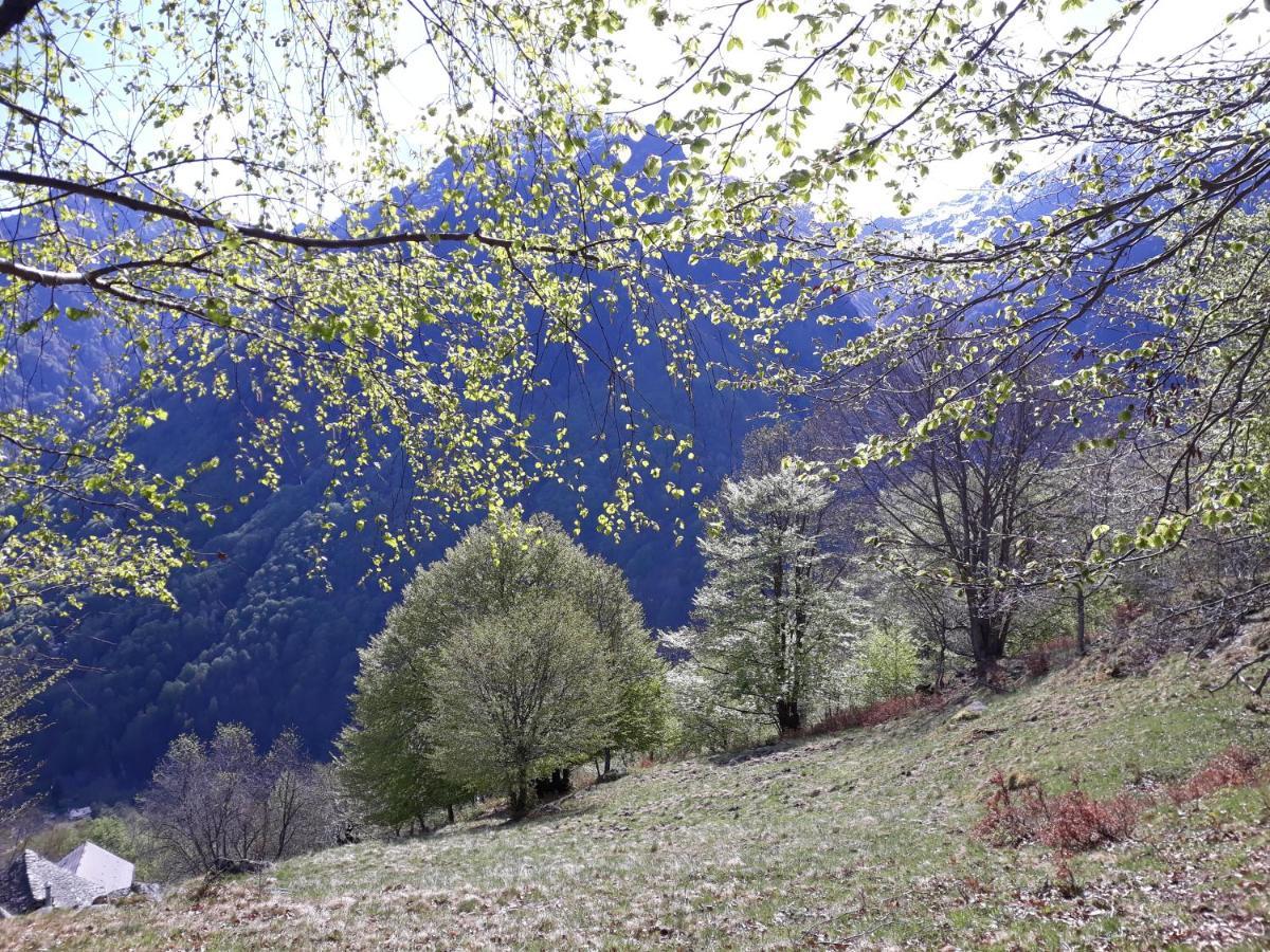 Casa All'Alpe Gaggetto B & B Anzino Exterior photo