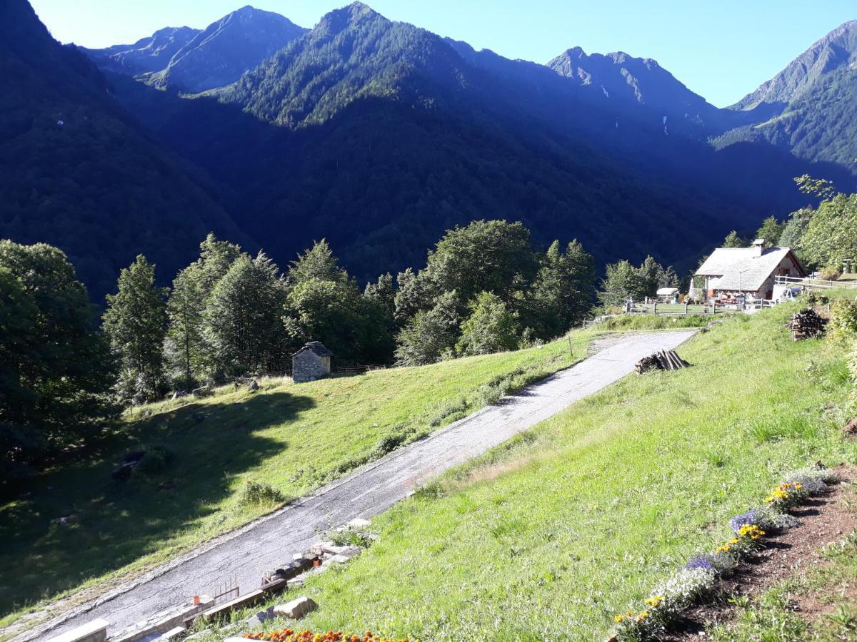Casa All'Alpe Gaggetto B & B Anzino Exterior photo
