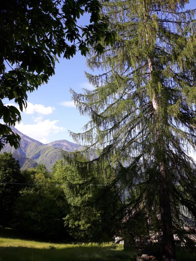 Casa All'Alpe Gaggetto B & B Anzino Exterior photo