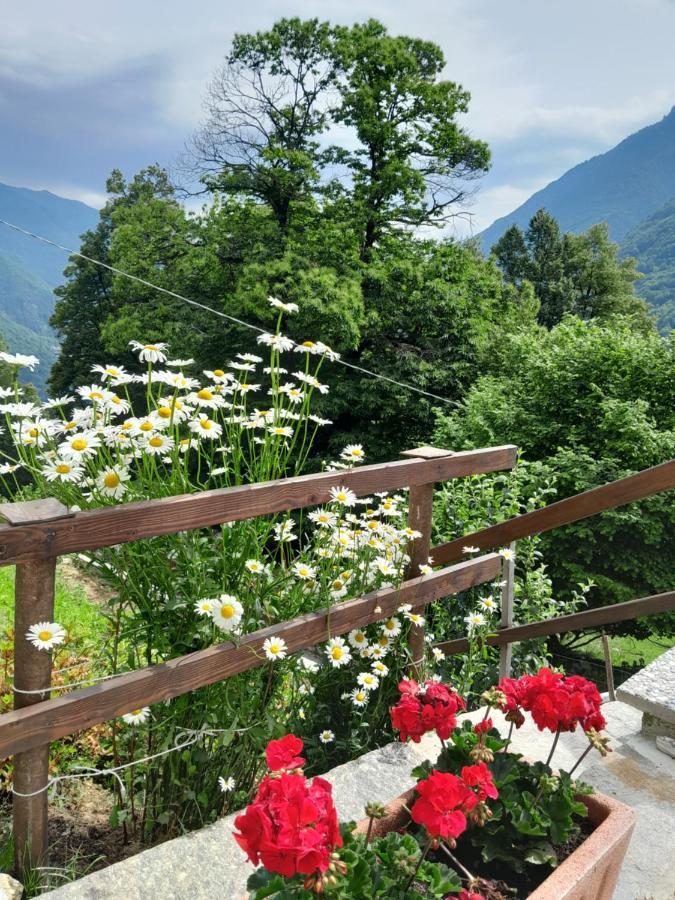 Casa All'Alpe Gaggetto B & B Anzino Exterior photo