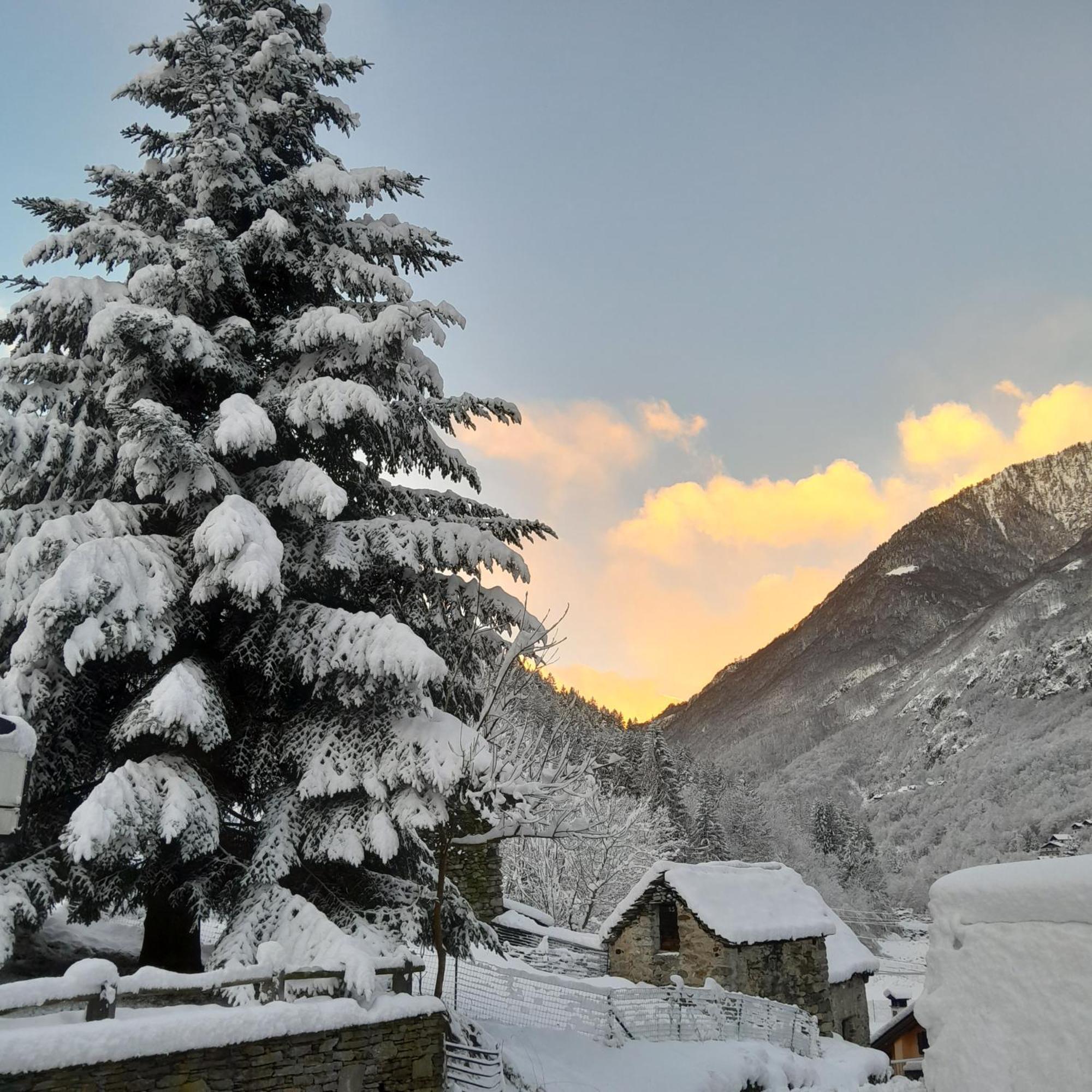 Casa All'Alpe Gaggetto B & B Anzino Exterior photo